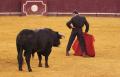 Corrida